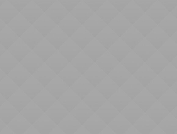 06 The Ultimate Guide to New York’s Favorite Food