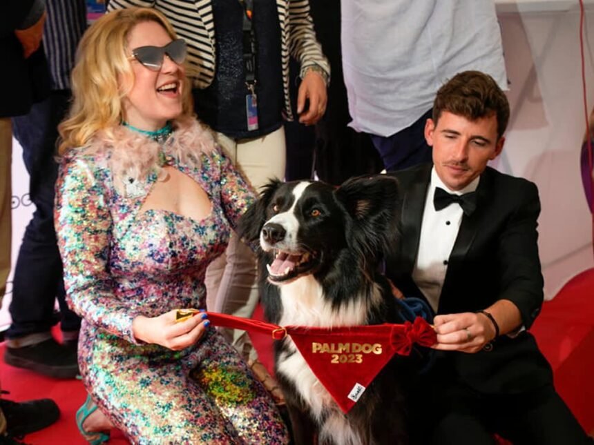 Oscar’ı Hak Eden Bir Köpek: Bir Düşüşün Anatomisi Filminden Messi